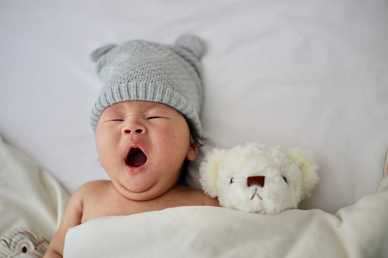 Infants are polyphasic sleepers
