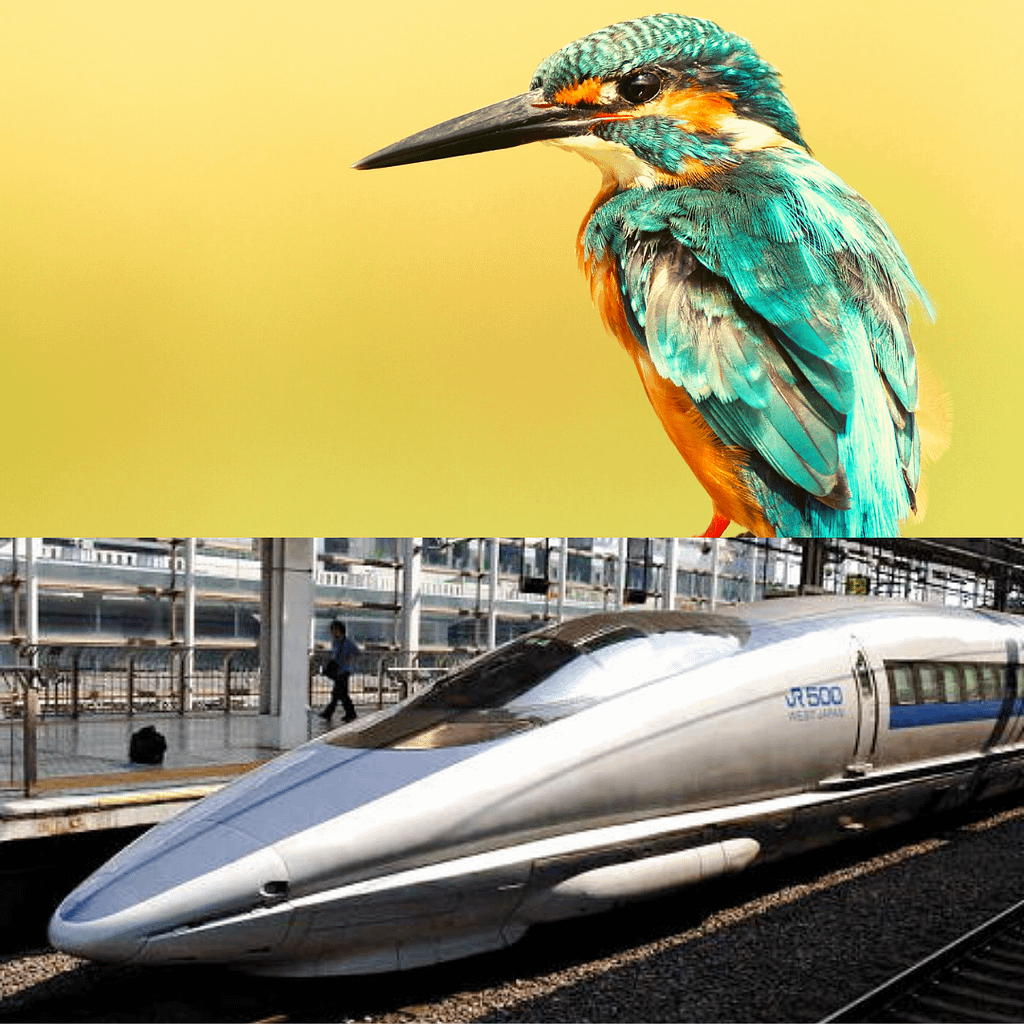 Biomimicry in trains