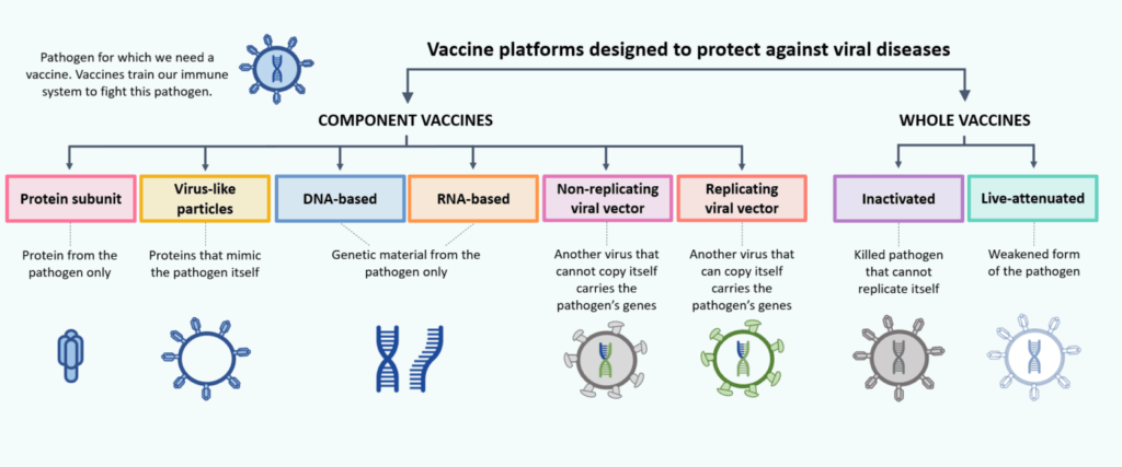 Overview of vaccine types